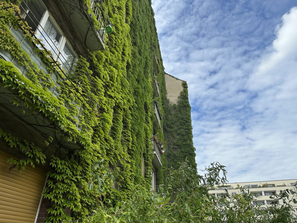 A zöldfalak és -homlokzatok előnyei