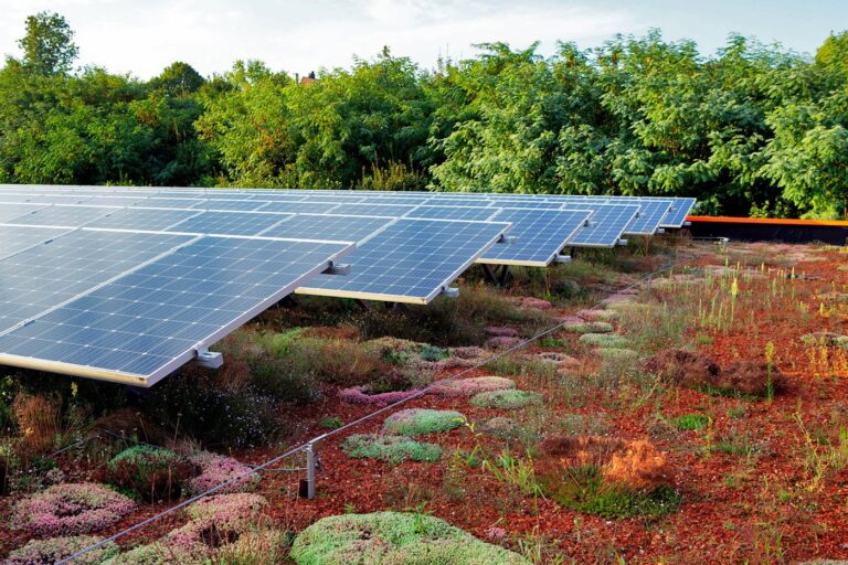 Bioszolár zöldtető rendszer