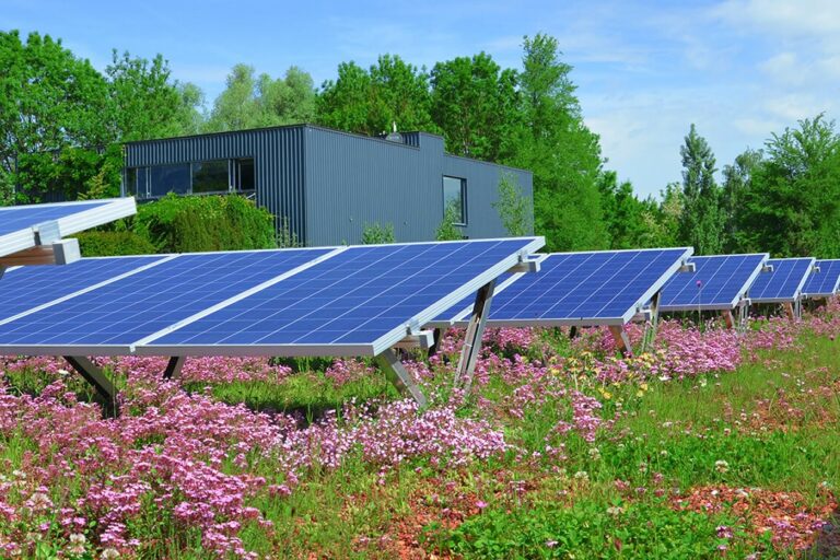 Bioszolár zöldtető rendszer