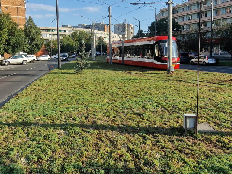 Az extrém hőmérsékletek leküzdése városi zöldövezetek létrehozásával