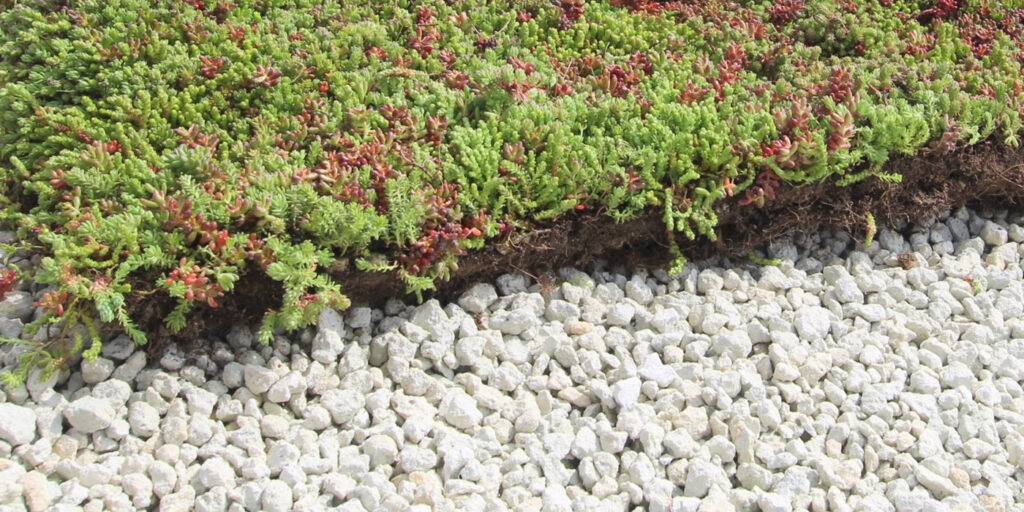 Az EcoStratos megoldása a tőzeges szubsztrátum problémáira