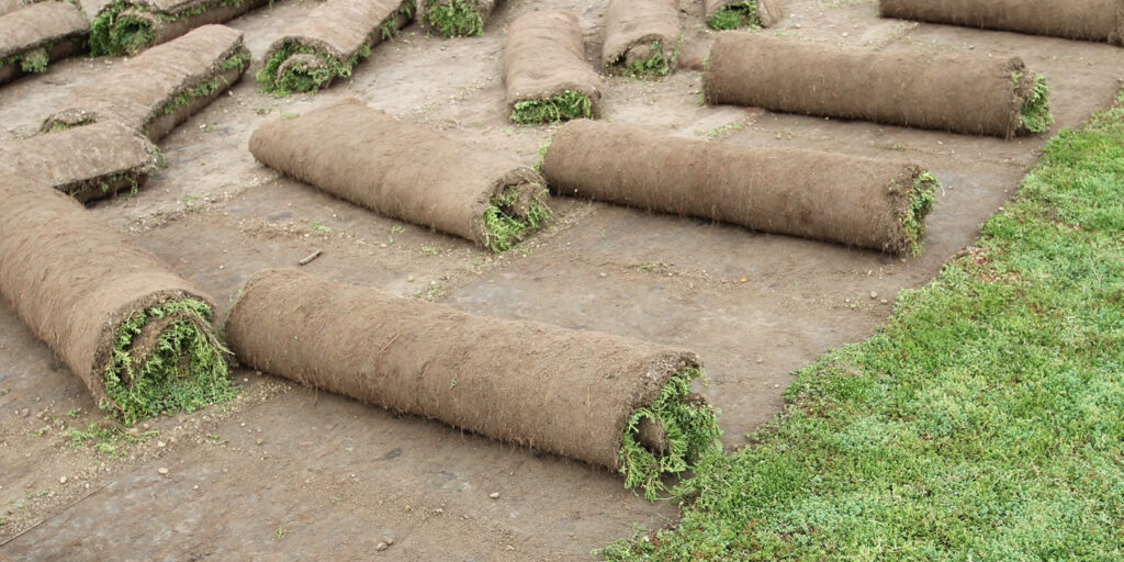 Az EcoStratos megoldása a tőzeges szubsztrátum problémáira