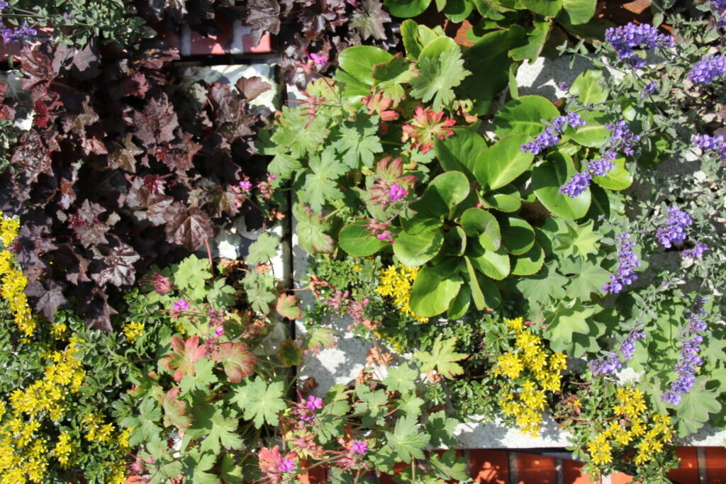 Moduláris rendszer függőleges kertekhez