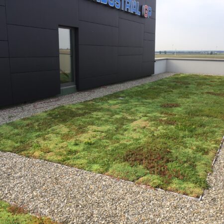 EcoStratos Sedum-szőnyegek zöldtetők számára