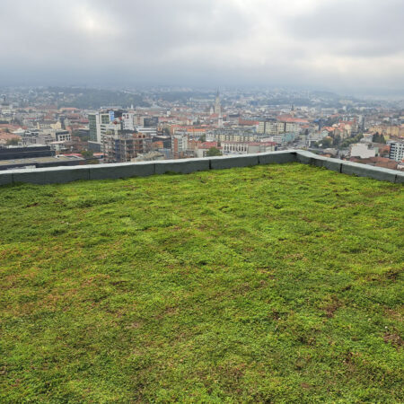 EcoStratos Sedum-szőnyegek zöldtetők számára