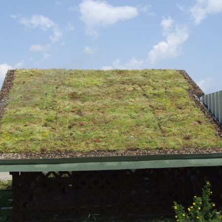 EcoStratos Sedum-szőnyegek zöldtetők számára