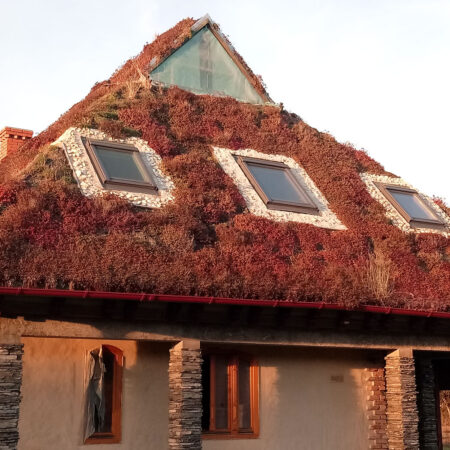 EcoStratos Sedum-szőnyegek zöldtetők számára