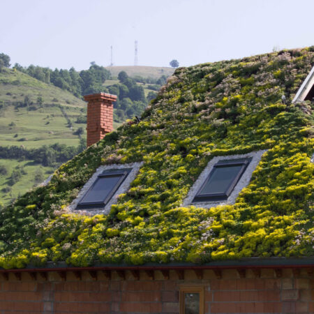 EcoStratos Sedum-szőnyegek zöldtetők számára