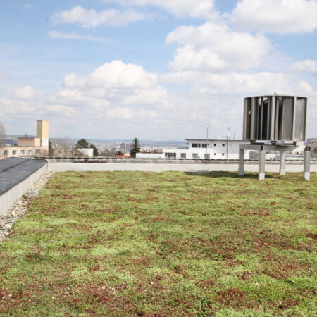 EcoStratos Sedum-szőnyegek zöldtetők számára