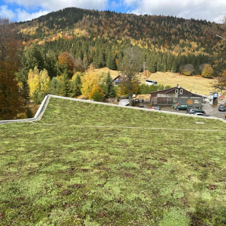 EcoStratos Sedum-szőnyegek zöldtetők számára
