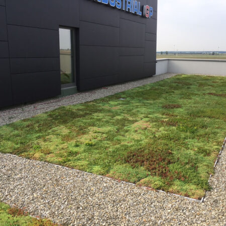 EcoStratos Sedum-szőnyegek zöldtetők számára