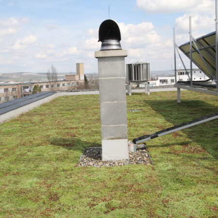 EcoStratos Sedum-szőnyegek zöldtetők számára