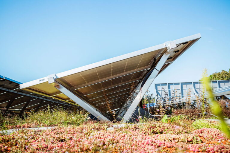 A Biosolar zöldtetők
