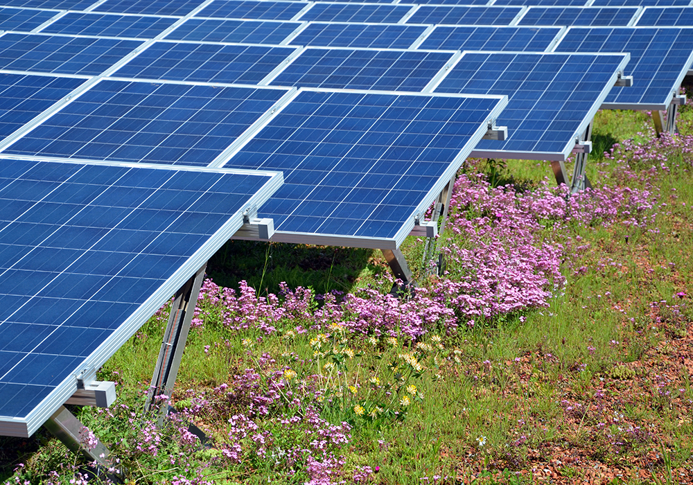 Biztonságos zöld energia – bioszolár rendszerekkel