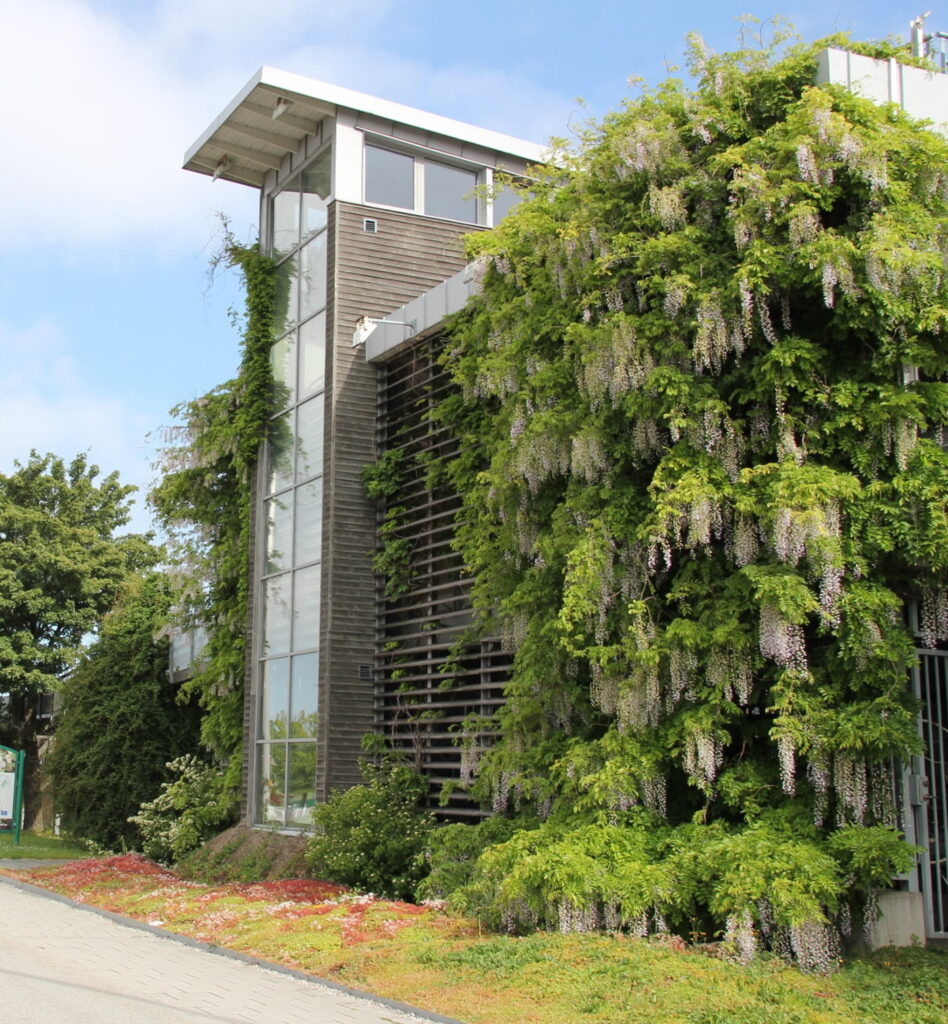 Az épületek függőleges zöldítése