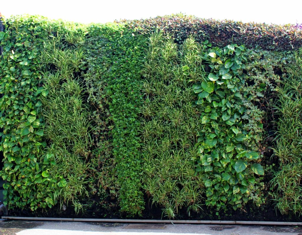 Az épületek függőleges zöldítése